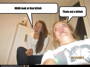 HAHA look at that kitteh