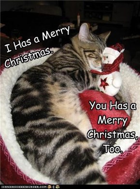 Merry Catsmas