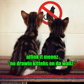 aifink it meenz  "no drawin kittehs on da wallz."