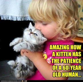 AMAZING HOW A KITTEN HAS THE PATIENCE OF A 60-YEAR OLD HUMAN...