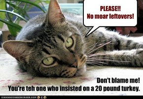PLEASE!! No moar leftovers!