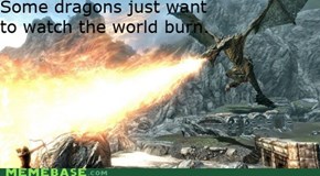 Some Dragons...