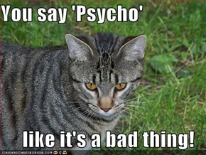 You say 'Psycho'  like it's a bad thing!