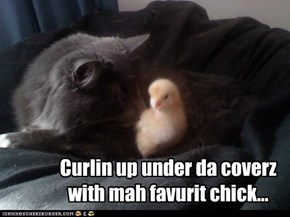 Curlin up under da coverzwith mah favurit chick...