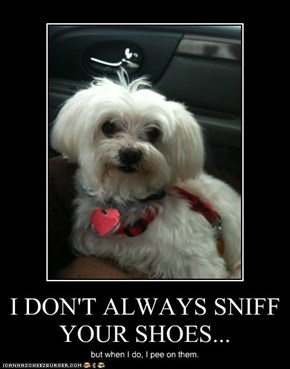I DON'T ALWAYS SNIFF YOUR SHOES...