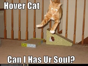 Hover Cat      Can I Has Ur Soul?