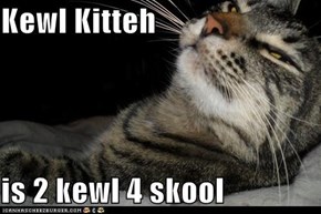Kewl Kitteh  is 2 kewl 4 skool