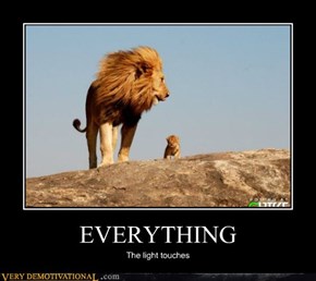EVERYTHING
