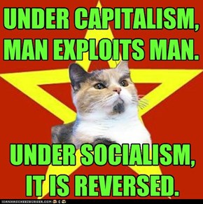 Lenin Cat: Honesty Among All Things