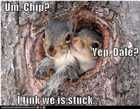 Um. Chip?                                             Yep, Dale?         I tink we is stuck..