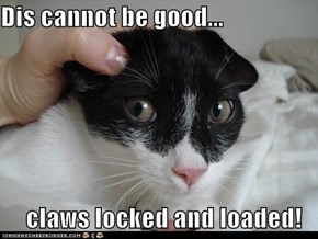 Dis cannot be good...       claws locked and loaded!