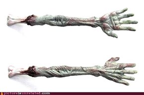 zombie backscratcher