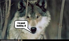 I is good looking. :D