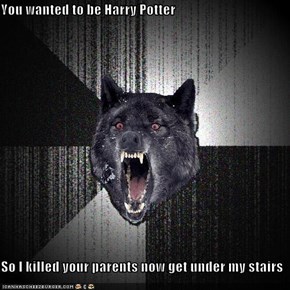 You wanted to be Harry Potter  So I killed your parents now get under my stairs