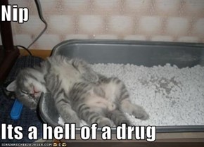 Nip  Its a hell of a drug