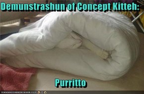 Demunstrashun of Concept Kitteh:  Purritto