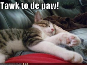 Tawk to de paw!