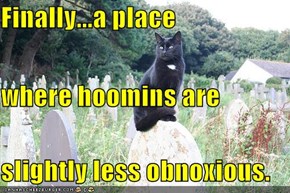 Finally...a place where hoomins are slightly less obnoxious.