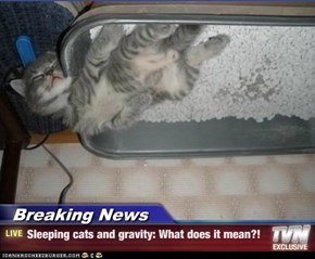 Breaking News - Sleeping cats and gravity: What does it mean?!