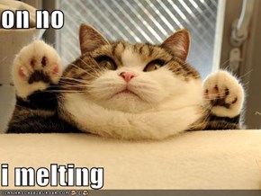 on no  i melting