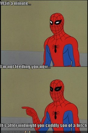 Spidey Follows the Rules!