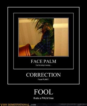 Face Palm
