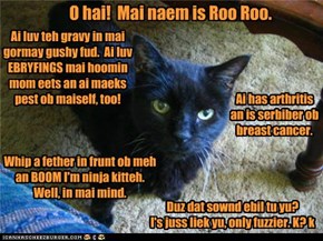 Roo Roo teh UnBasement Kitteh