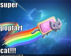 super poptart cat!!!