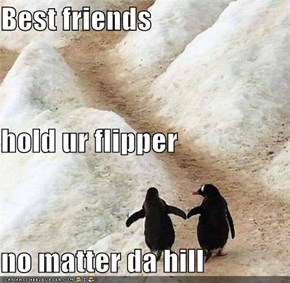 Best friends hold ur flipper no matter da hill