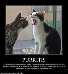 PURRITIS