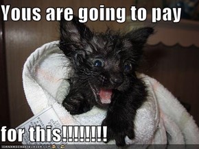 Yous are going to pay  for this!!!!!!!!