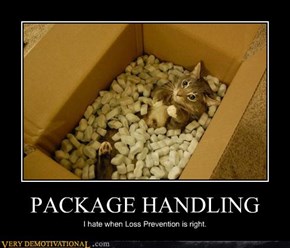 PACKAGE HANDLING