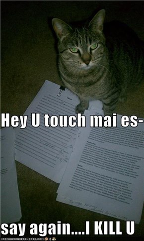 Hey U touch mai es- say again....I KILL U