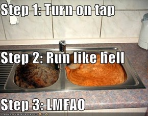 Step 1: Turn on tap