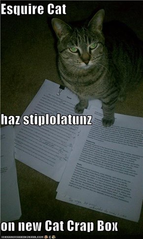 Esquire Cat haz stiplolatunz on new Cat Crap Box