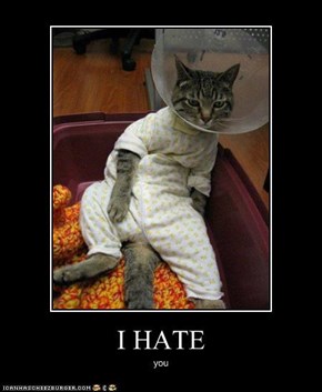 I HATE