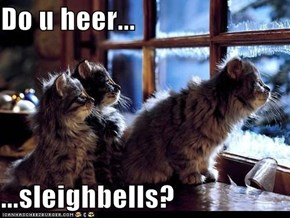 Do u heer...  ...sleighbells?