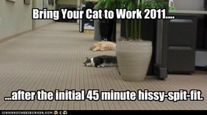 Bring Your Cat to Work 2011....