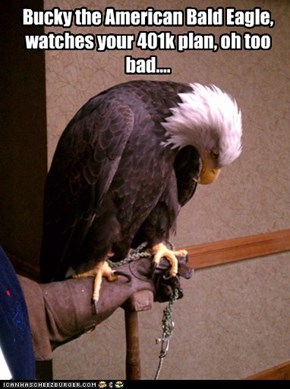 Bucky the American Bald Eagle, watches your 401k plan, oh too bad....