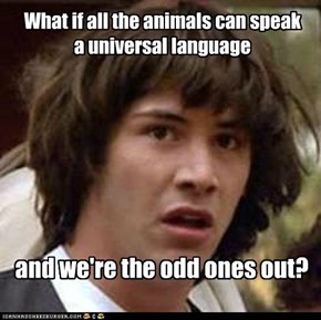 Conspiracy Keanu: Animorphs Was Right!
