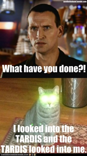 Bad Wolf Cat