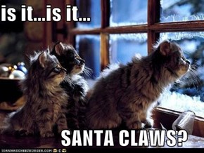 is it...is it...                 SANTA CLAWS?