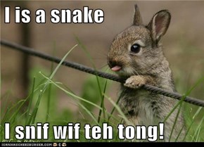 I is a snake  I snif wif teh tong!