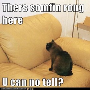 Thers somfin rong here  U can no tell?