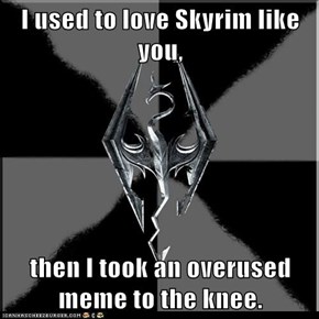 I used to love Skyrim like you,  then I took an overused meme to the knee.