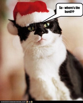 So - where's the burd??