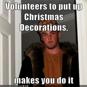Volunteers to put up Christmas Decorations,   makes you do it