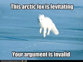 This arctic fox is levitating