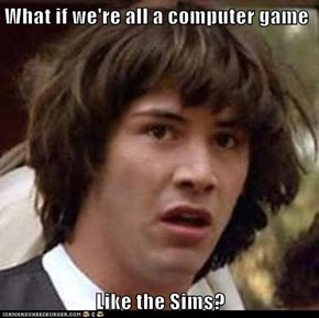 What if we're all a computer game  Like the Sims?