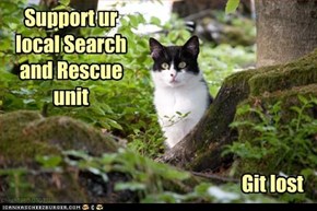 Search and Rescue